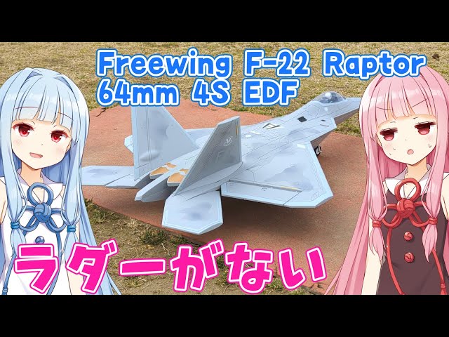FreeWing F-22 Raptor 64mm 4S EDF Jet ラジコン飛行機 - YouTube
