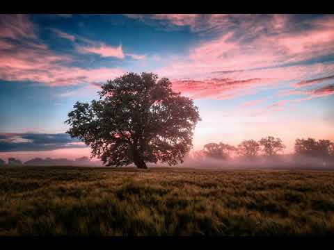 Meditation music/relaxation music
