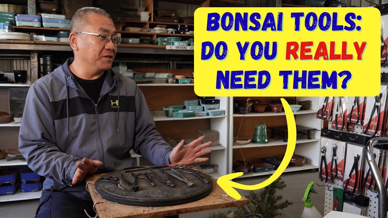 outils bonsaï - Présentation vidéo