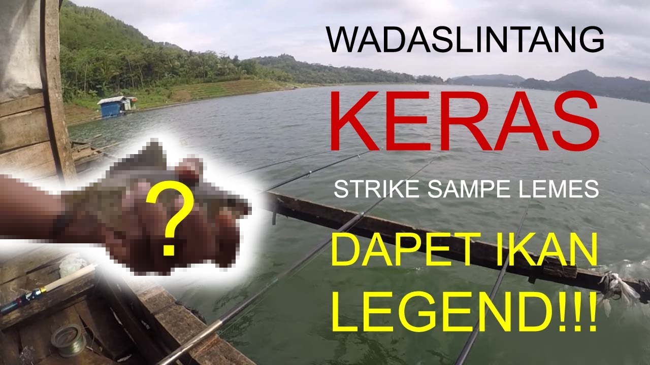 Fun Fishing! Panen Strike Mancing Waduk Wadaslintang. Dapet Ikan Legend