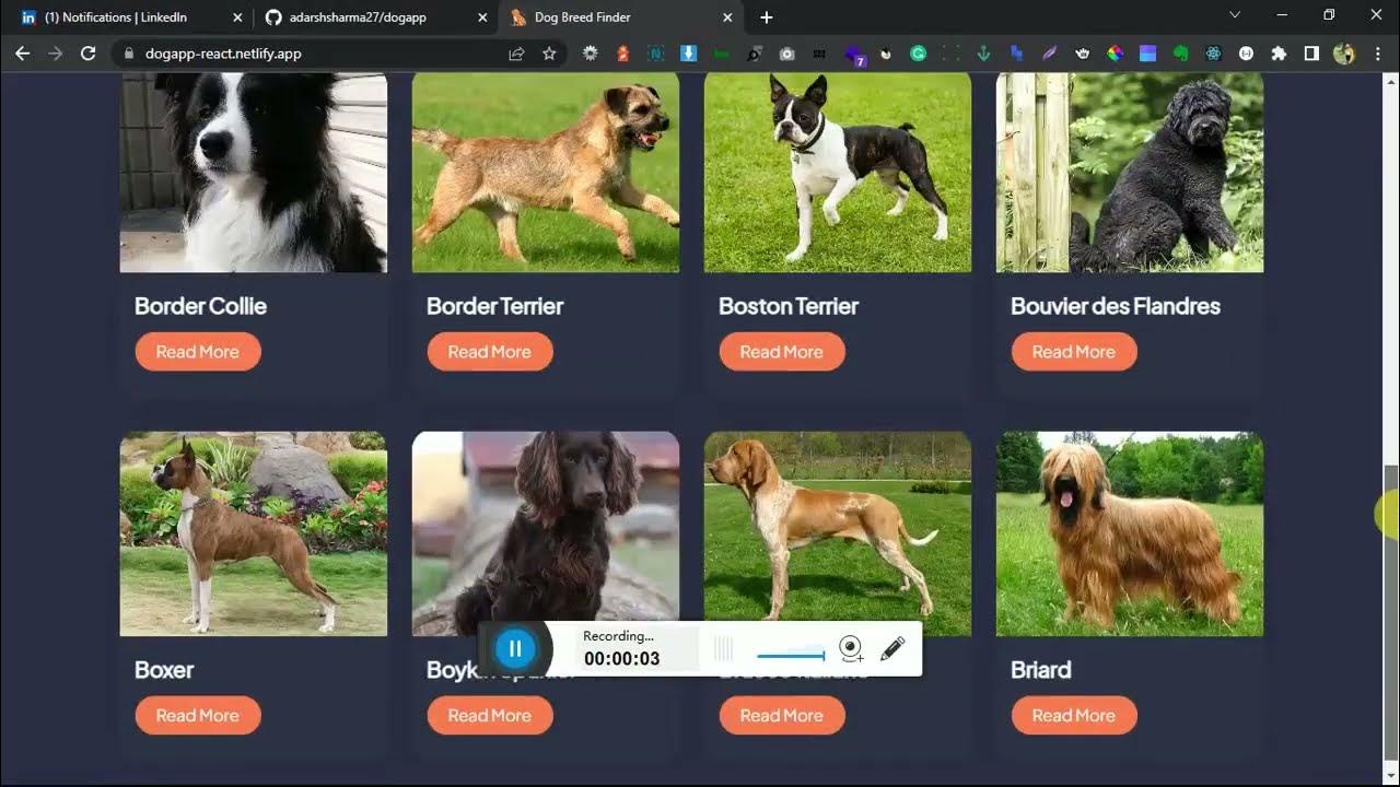 Dog Breed Finder App in React Js,Redux, and Redux Thunk - YouTube