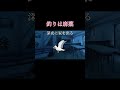 夢中になるのも程々に…#釣り #猫ミーム #鳥ミーム #shorts