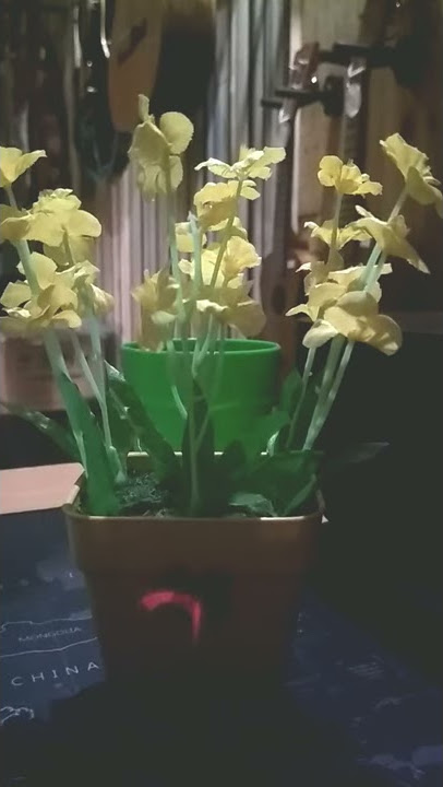 Sepotong Tembang Kidung Wengi Sunan Kalijaga