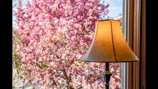 Sold 6 Royal Rd Port Colborne On By Vania Defreitas