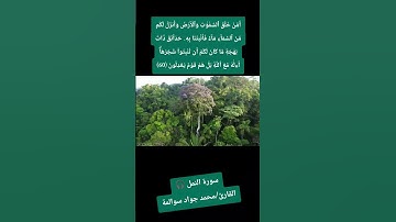 سورة النمل- آية 60: القارئ/محمد جواد سوالمة