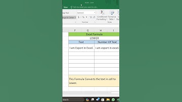 Lower Formula Used in MS Excel #excelformulas #excel #lower