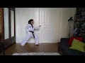 Taekwondo  travail des kibon 11 dbutant  kyosanim jolle