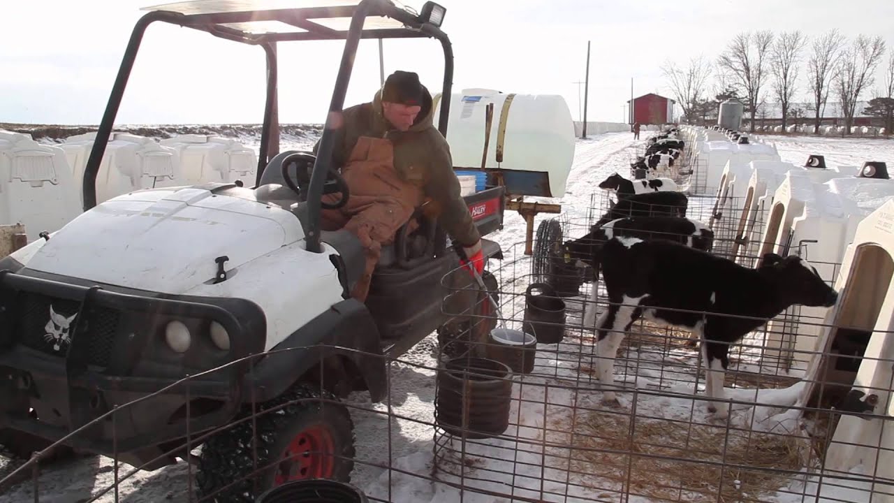 Sustainable Farming Practices Prepares Maassen Dairy for the Future