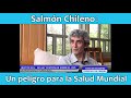 Salmón Chileno: Un peligro para la Salud Mundial