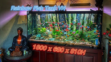 Rainbow Fish Tank - Hồ Cá Cầu Vồng Background 3D - 180x68x81H - Philip Ngô