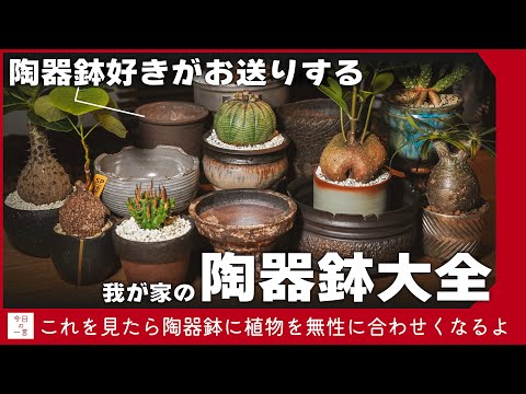 ★変態級に渋い9鉢★窯元職人陶器鉢　塊根・サボテン・多肉に　最後まで見てね ☆変態級に渋い9鉢☆窯元職人陶器鉢 VS塊根・サボテン・多肉に