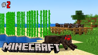 видео: ЖИВОТНОВОДСТВО, ШАХТА, СПАВНЕР! ВАНИЛЬНОЕ ВЫЖИВАНИЕ в МАЙНКРАФТ! ! (MINECRAFT #2) картинка: ЖИВОТНОВОДСТВО, ШАХТА, СПАВНЕР! ВАНИЛЬНОЕ ВЫЖИВАНИЕ в МАЙНКРАФТ! ! (MINECRAFT #2)