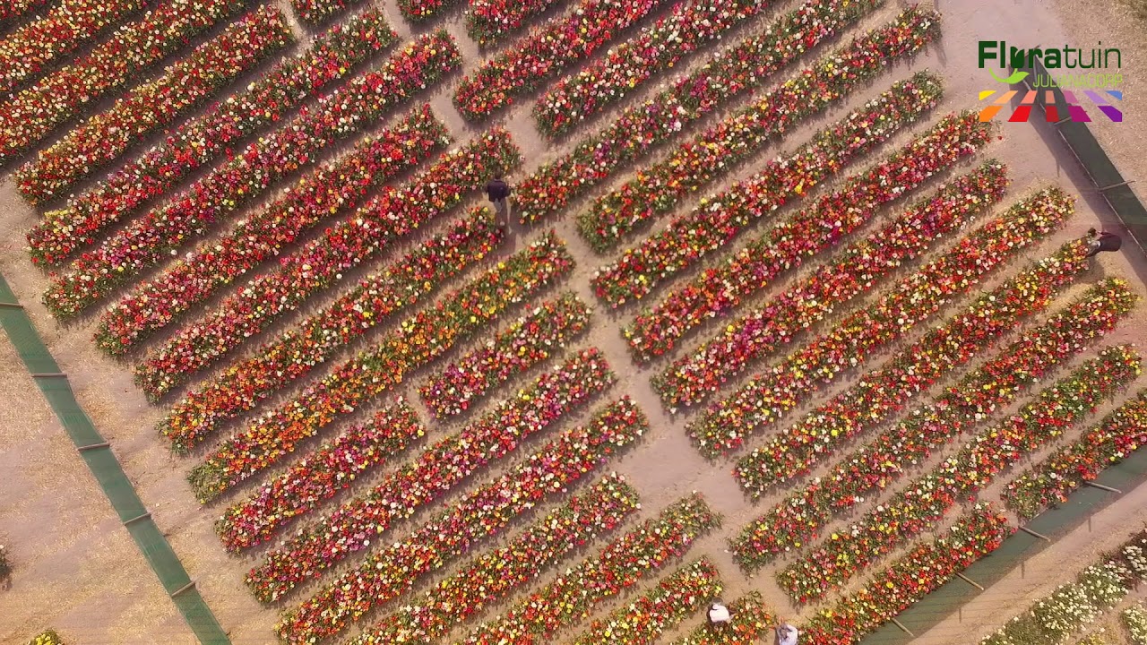 Floratuin Promotie Video