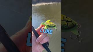 ROBOTIC TURTLE LURE🧐#bassfishing #shorts