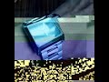 The Mijonju Show - Watch - Fossil JR8340 Matrix Resurrections