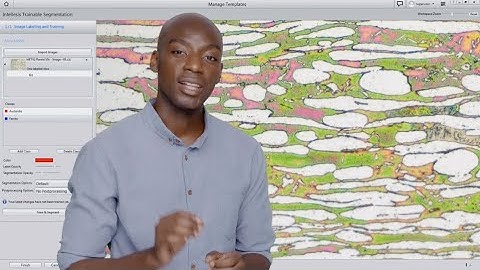 ZEN Intellesis: Automated Intelligent Image Segmentation