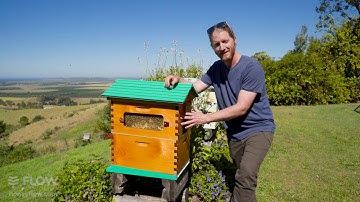 Flow Hive Hybrid- Whats included?