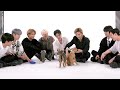 【子犬インタビュー】Stray Kidsが子犬たちに囲まれながらファンの質問に答えます!(日本語字幕) Stray Kids Play With Puppies