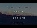 Caballo de Troya 7 - Nahum de J.J. Benitez | Parte Nº8 (Voz Digital) Final