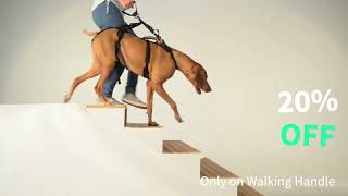 Celebrity Help ‘Em Up Walking Accessories: Walking Handle Net Worth