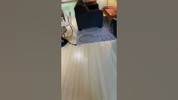 Day one of throwing random objects till halo 3 anniversary releases