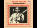Muddy Waters Feat Sunnyland Slim Lonesome Day mp3