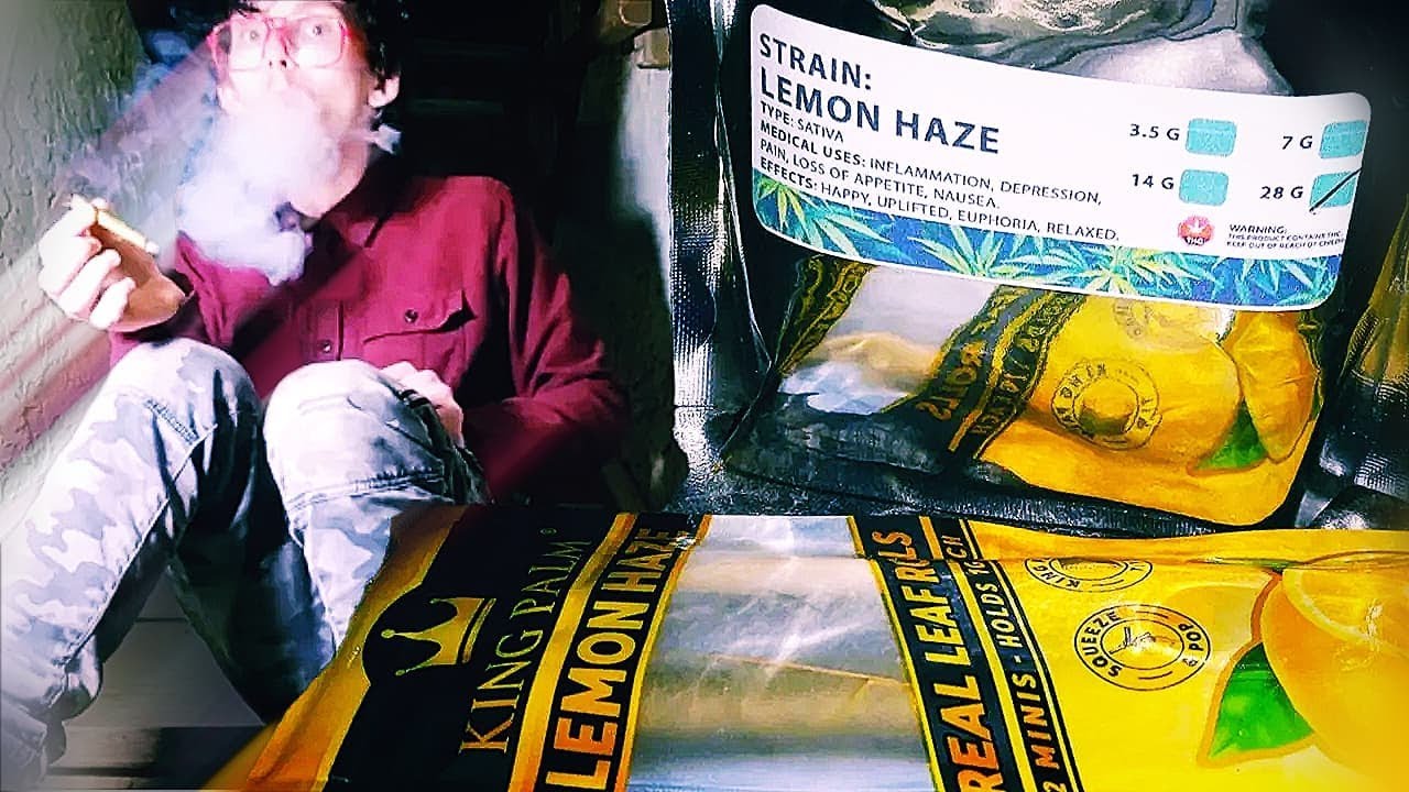 THESE KING PALMS ARE NEXT LEVEL...