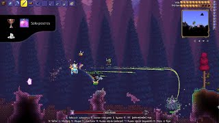 Terraria Solo Postres
