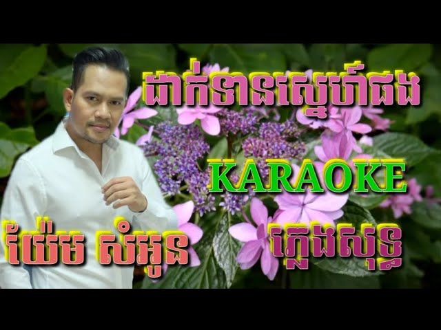 ដាក់ទានស្នេហ៍បង ( ភ្លេងសុទ្ធ ) Karaoke Sing Along