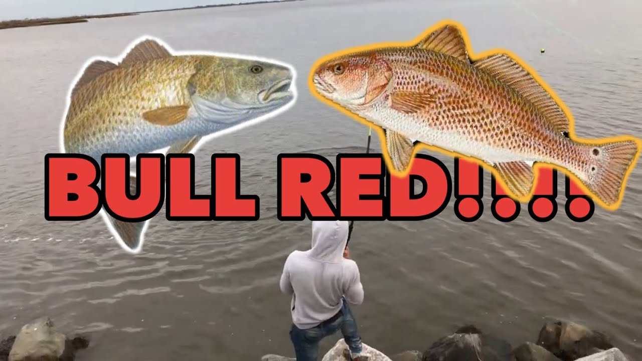 POINT AUX CHENES (FISHING 4 REDS) #fishing #red #fish #hopedale # ...