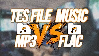This Is The Difference Between Mp3 Vs Flac  Files