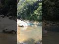 Seger tuk mandi🤩    #sungai #subcribeandlike #shorts  #mandidisungai #ayunan  @sriharjumi5714