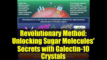 Revolutionary Method: Unlocking Sugar Molecules