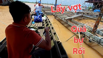 Cong cần cá bự rồi. Câu cá SÔNG TIỀN | Hành trình câu cá LỤC TỈNH P1 | Săn bắt SÓC TRĂNG |