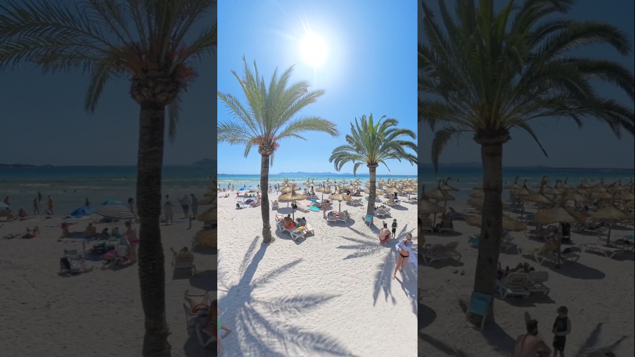 Alcúdia Beach | Mallorca |Majorca | 🏖🏝😎