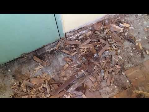 cara tukar lantai kayu parquet part 1