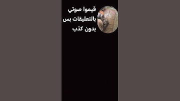 #إسلام_صبحي #اكسبلور #القزابري #لايك #yasseraldossary #duet #تلاوة_خاشعة #nature #المراه #دويتو