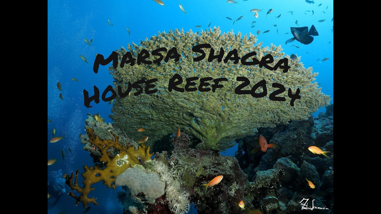 Marsa Shagra Riff Marsa Shagra House Reef - YouTube