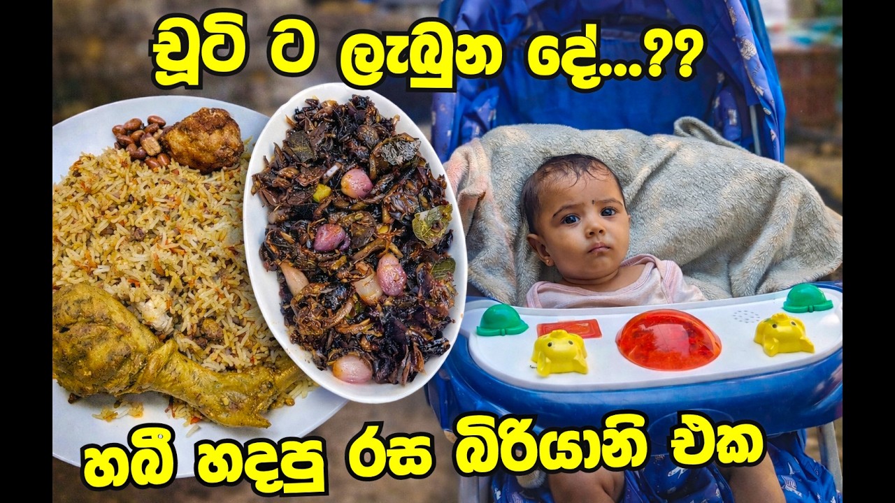 චූටි දුවට ලැබුන දේ | හබී අතින් උයපු රසම රස බිරියානි එක -Day in my life | Hubby Biryani Recipe | Gift