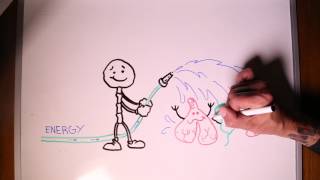 Celebrity CBP Chiropractic Basics Profile