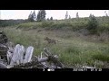 Trail Camera Video July 3, 2021
