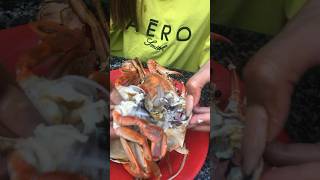 Eating Crab 04 yummy crab delicious shortsvideo asmr shorts