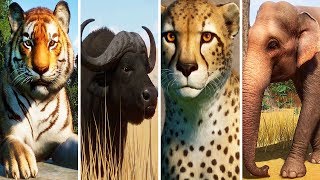All animals: 1.bengal tiger: 0:00 2.bactrian camel: 0:14 3.plains
zebra: 0:30 4.african wild dog: 0:46 5.timber wolf: 1:01
6.hippopotamus: 1:17 7.baird's tap...