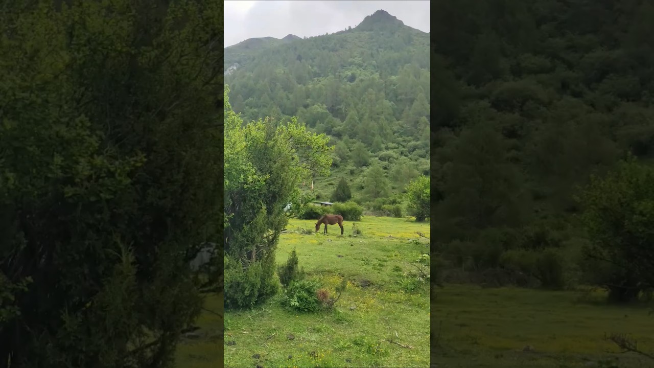 木爾寨溝徒步穿越結斯溝 #四川 #徒步 #旅遊