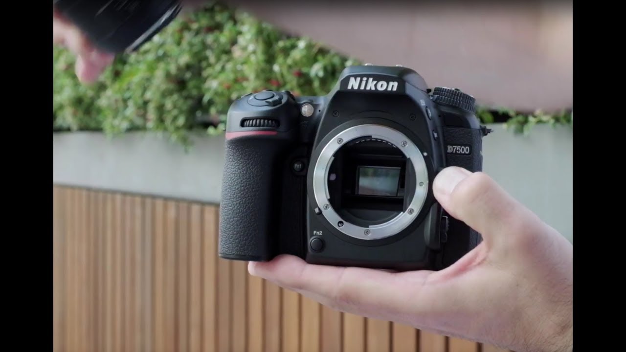 Nikon D7500 additional coverage - Nikon Rumors