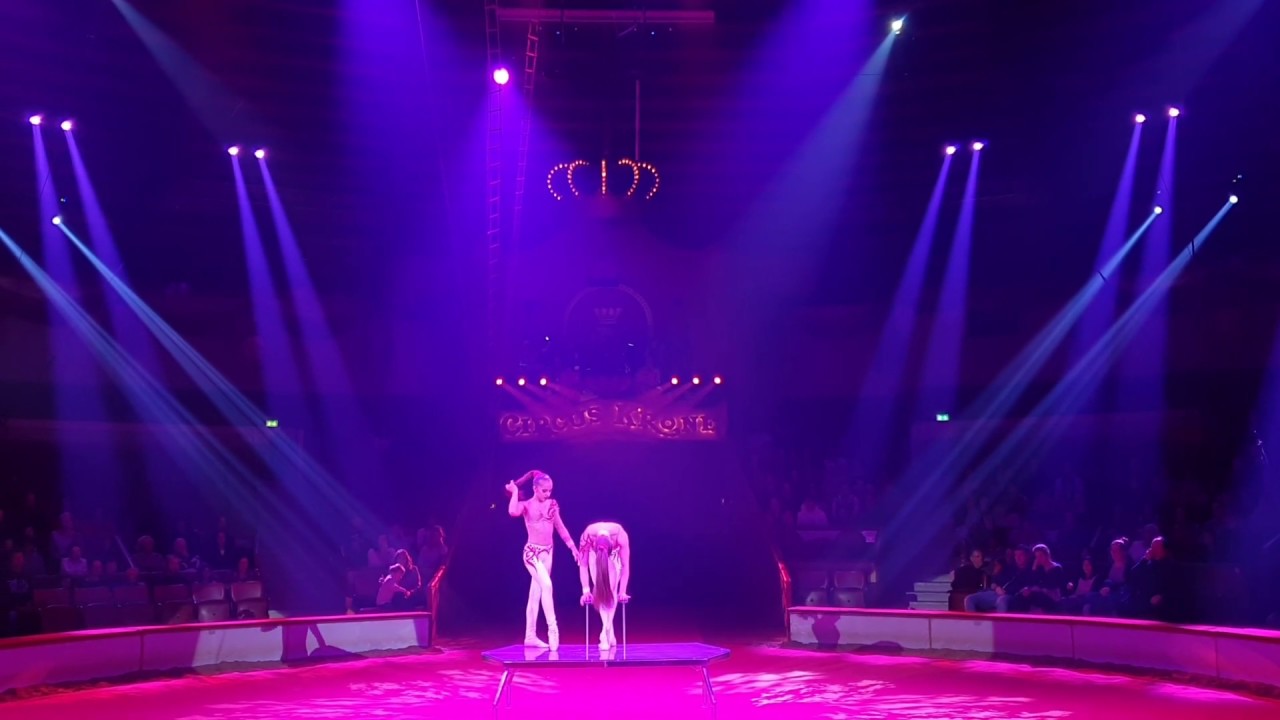 Kolev Sisters Krone Bau