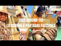 Tour around the la corona and partagas cigar factories  havana festival xxiii 2023