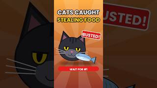 Cats Caught Stealing Food, Ranked 😹🐟 #shorts  #cat #catvideos #funny #cats #funnycats #funnyanimals