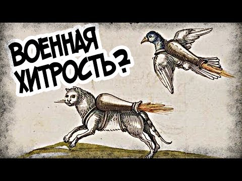 Как Захватить Замок Горящим Котом