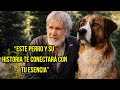 El Llamado Salvaje: Una Historia de Supervivencia, Libertad y Destino!